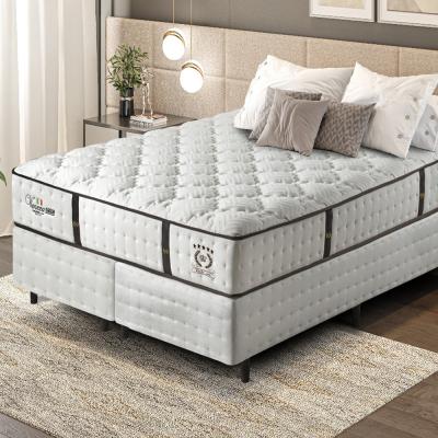 CONJUNTO DE SOMMIER VENEZA II -1.60X